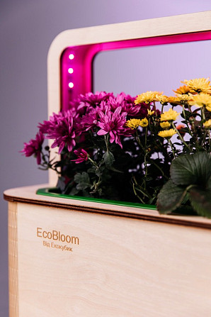 EcoBloom Smart Garden Розумний сад вдома Львов - изображение 4