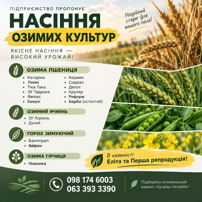 Посівний матеріал озимих культур Ровно - изображение 1
