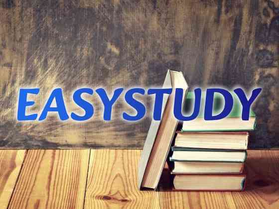 Замовити розробку стартап-проєкту до магістерської роботи в Україні Киев