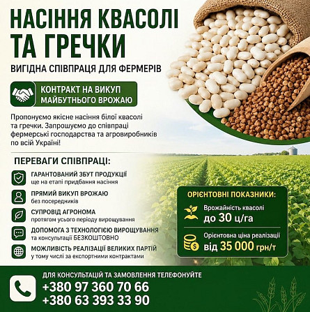 Посівмат квасолі та гречки з контрактом на викуп врожаю Одеса - зображення 1