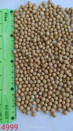 Продам нут (турецький горох, chickpeas)- 5тонн., с/г виробник. Черкассы