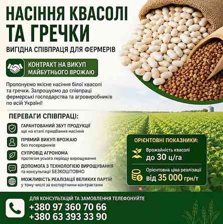 Реалізуємо насіння білої квасолі та гречки Полтава