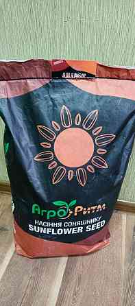 Насіння соняшнику Бомонд ЕКСТРА Любашёвка