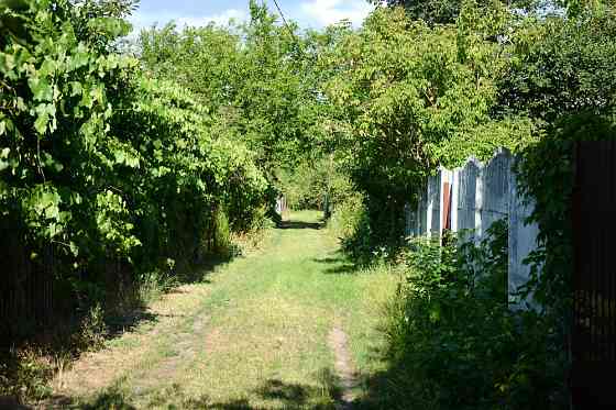 Продам Дачу СМТ Таромське Днепр (Днепропетровск)