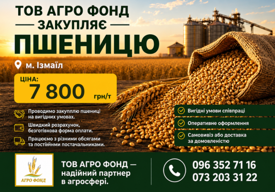 КУПЛЮ Пшеницю (фураж) на Ізмаїл (Білок - 8-10.5%) Броды