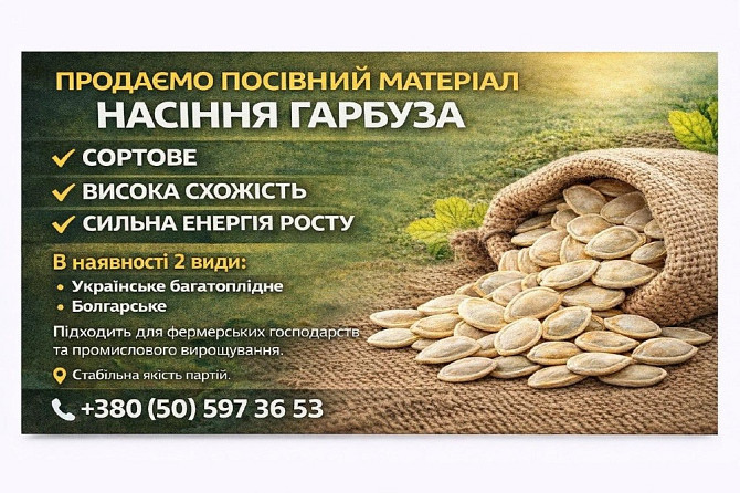 Продаємо посівний матеріал, насіння гарбуза Полтава - зображення 1