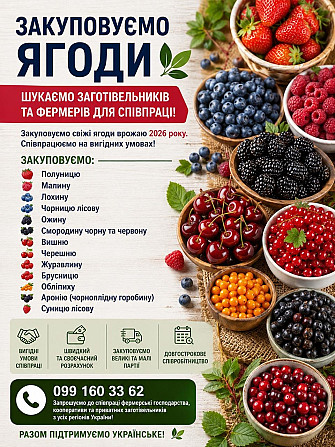 Закуповуємо ягоди Вінниця - зображення 1