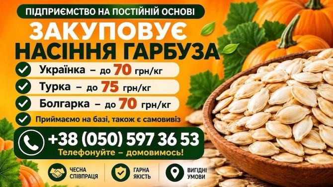 Купуємо насіння гарбуза Кропивницький - зображення 1