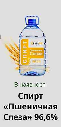 Спирт етиловий Киев