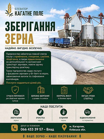 Зберігання зерна. Елеватор Кагатне Поле. Киев - изображение 1