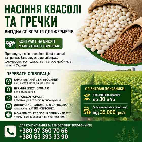 Насіння квасолі та гречки — вигідна співпраця для фермерів Івано-Франківськ