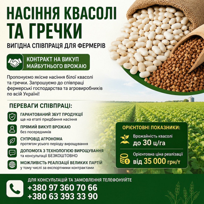 Насіння квасолі та гречки — вигідна співпраця для фермерів Івано-Франківськ - зображення 1