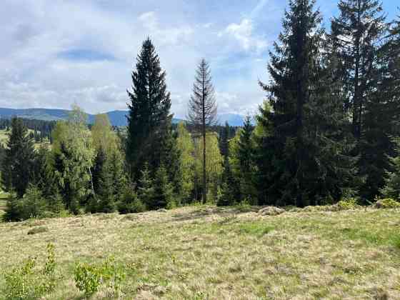 Земельна ділянка в Яблуниці 0.42 га Яремче