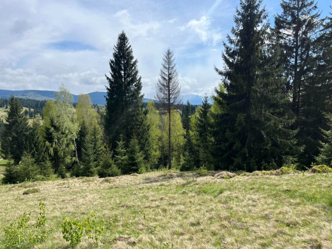 Земельна ділянка в Яблуниці 0.42 га Яремче - зображення 4