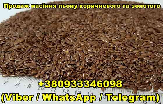 Оптовий продаж насіння льону коричневого та золотого Дніпро