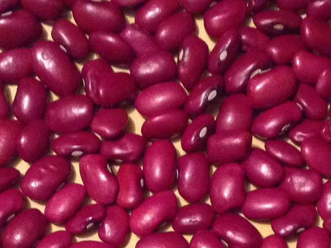 Великий вибір сортової квасолі. Ровно - изображение 1