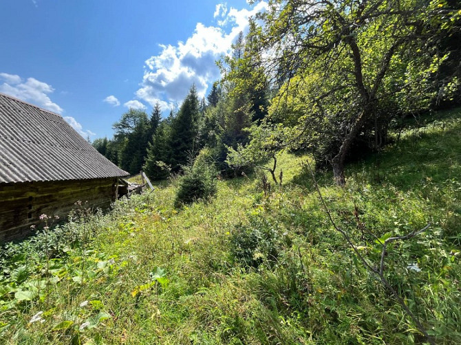 Земельна ділянка в Татарові біля водоспаду Гук 0.25 га Яремче - изображение 5