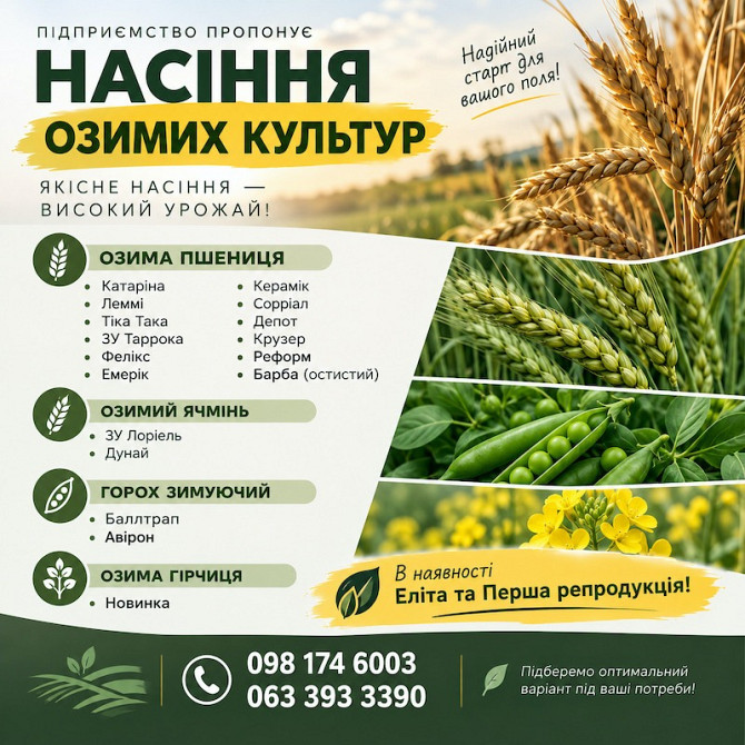 Посівний матеріал озимих культур: Еліта та Перша репродукція Житомир - зображення 1