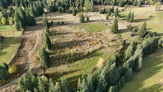 Земельна ділянка в Яблуниці 0.51 га Яремче - зображення 6