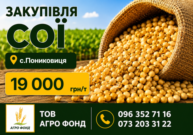 КУПУЄМО СОЮ Броды - изображение 1