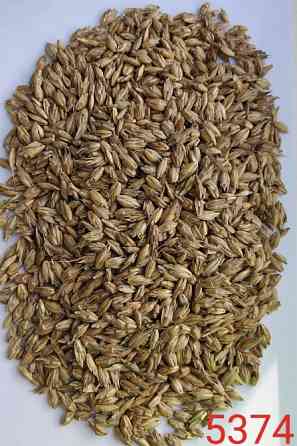 Продам спельту не обрушену (лат. Triticum spelta, полба)- 1000т. Київ
