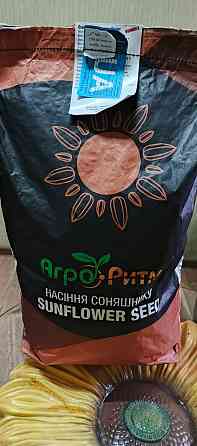 Насіння соняшнику Бомонд СТАНДАРТ Любашёвка