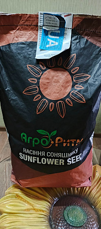 Насіння соняшнику Бомонд СТАНДАРТ Любашёвка - изображение 2