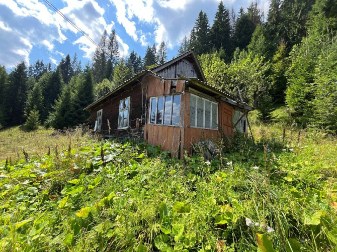 Земельна ділянка в Татарові біля водоспаду Гук 0.25 га Яремче - изображение 4