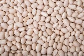 Продати квасолю. Куплю квасолю. Приймаємо квасолю на переробку Черкаси - зображення 1