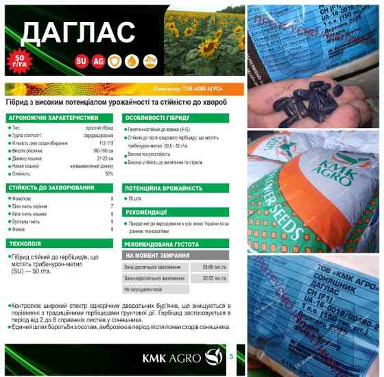 Насіння соняшника Даглас під Гранстар фракція Екстра Кропивницкий (Кировоград)