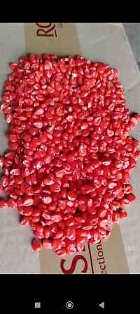 Посівна кукурудза сорту Піонер ФАО 300 Миргород