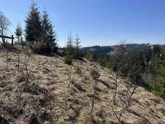 Земельна ділянка в Яблуниці 0.25 га Яремче