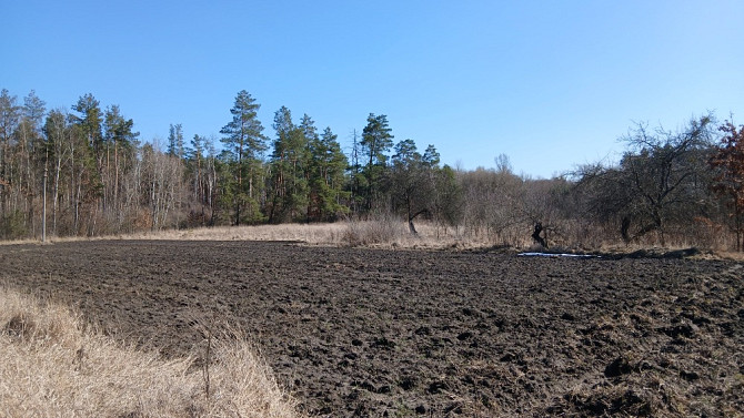 Земельна ділянка 30 соток. КИЇВСЬКА ОБЛ. Богуслав - зображення 3