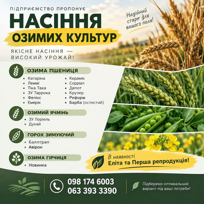 Насіння озимих культур. Еліта та Перша репродукція Кропивницкий (Кировоград) - изображение 1