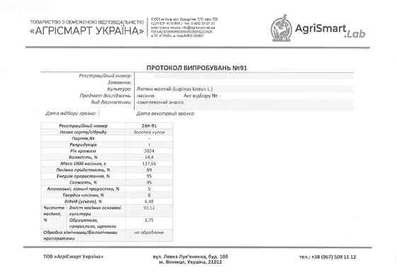 Насіння люпину ЗОЛОТИЙ КУПОЛ, еліта, 1 репродукція Житомир