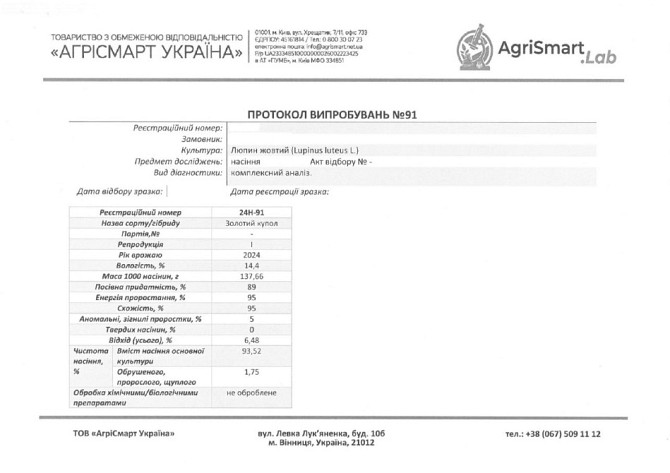 Насіння люпину ЗОЛОТИЙ КУПОЛ, еліта, 1 репродукція Житомир - зображення 2
