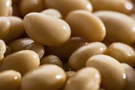 Купуємо квасолю на переробку, консервування Запорожье - изображение 1