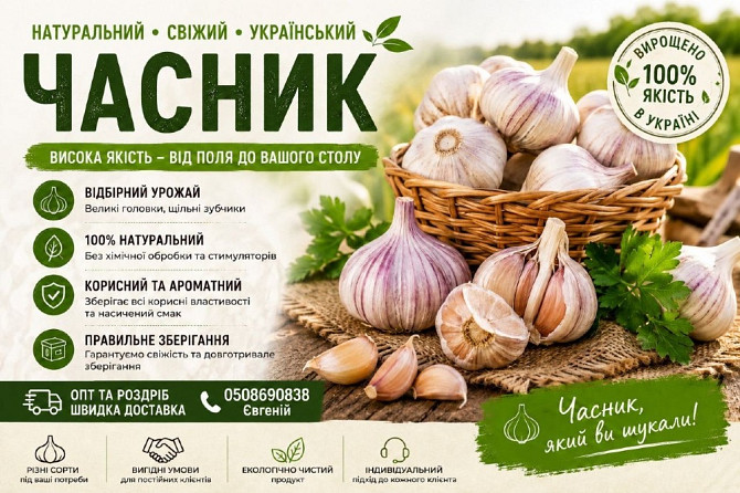 Продаж часника Одеса - зображення 1
