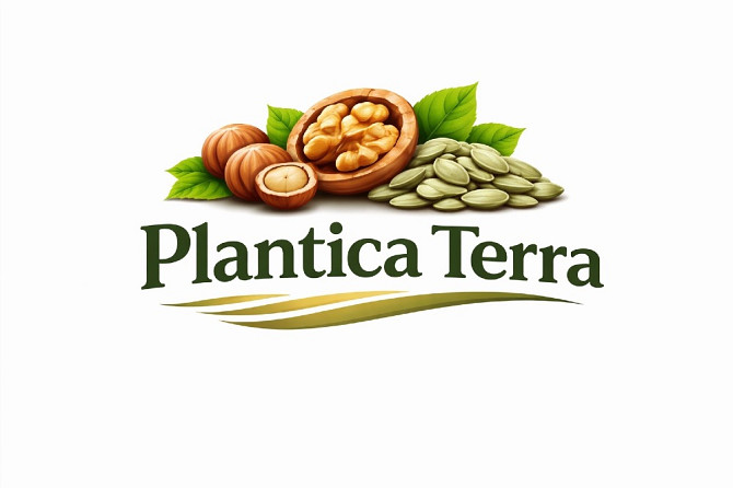 Стабільний постачальник волоського горіха та фундука Plantica Terra Кропивницький - зображення 1