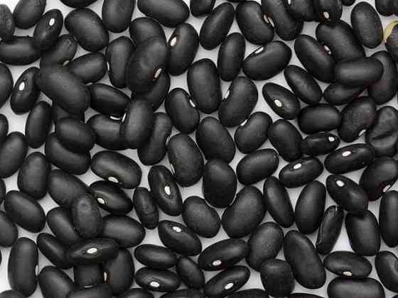 Сортова квасоля. Доставка по Україні. Різні сорти. Рівне