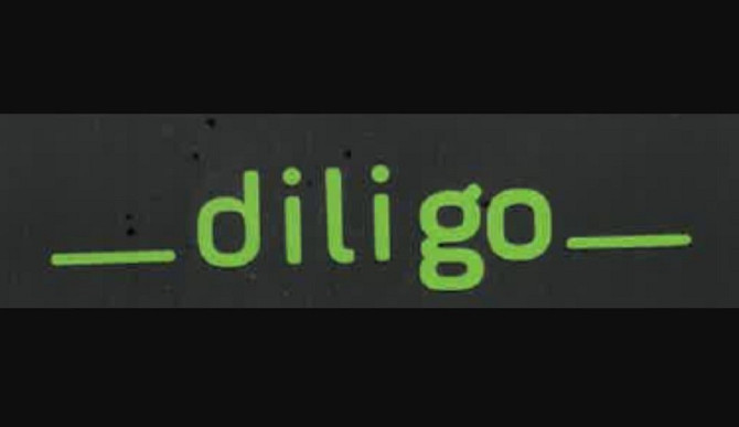 Водій категорії C+E до компанії Diligo Korycinski з Польщі Киев - изображение 1