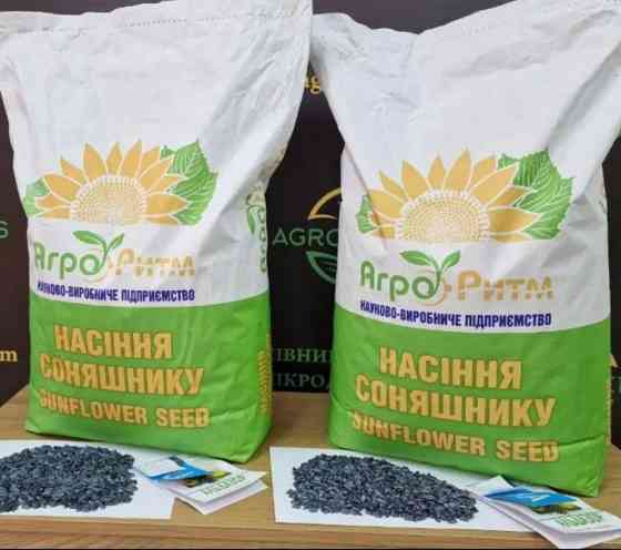 Насіння соняшнику Альдазор Любашёвка