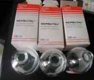 Where to buy Nembutal Online Івано-Франківськ