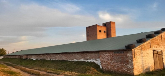 Склади в оренду с. Покровське, Полтавської області. Полтава - зображення 1