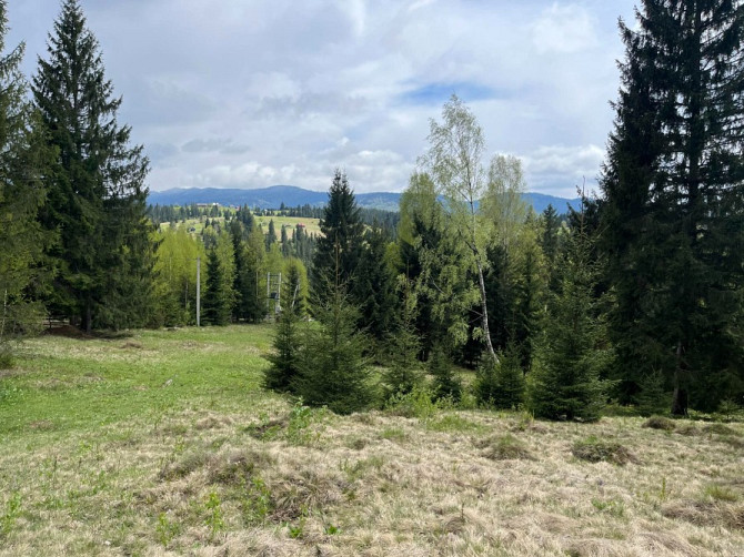 Земельна ділянка в Яблуниці 0.42 га Яремче - зображення 2