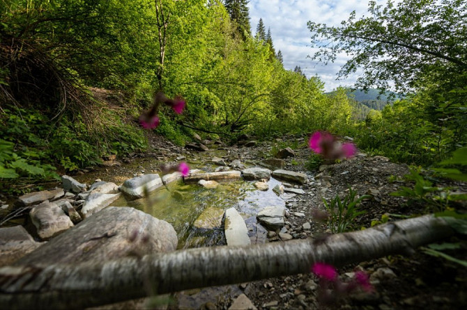 Земельна ділянка в Микуличині 1.40 га Яремче - зображення 3