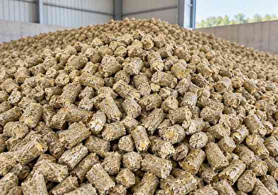 Wheat bran pellets — bulk USD 125 / EUR 105 per MT Львов