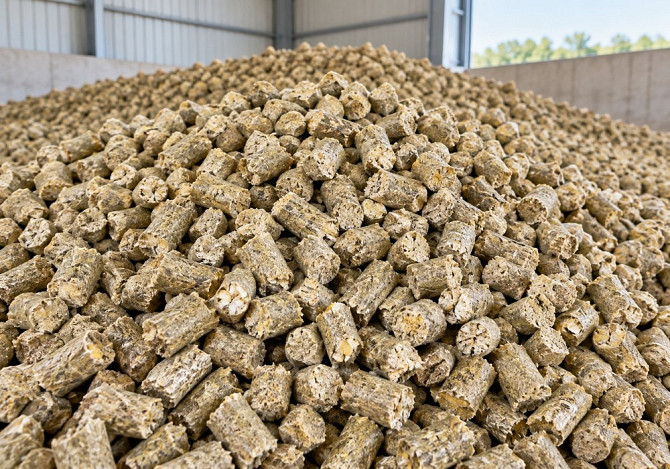 Wheat bran pellets — bulk USD 125 / EUR 105 per MT Львов - изображение 2