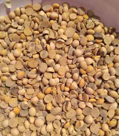 Купуємо половинки сої по Україні Кропивницький