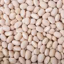 Продаємо насіння квасолі з гарантією викупу врожаю Дніпро